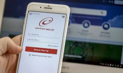 e-Devlet’te Elektronik Para Hesapları Tek Ekranda