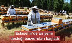 Eskişehir’de arı yemi desteği başvuruları başladı