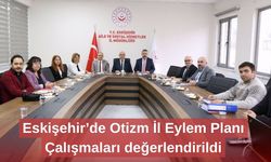 Eskişehir’de Otizm İl Eylem Planı Çalışmaları değerlendirildi