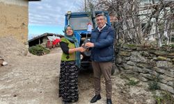 Zeytin geleceğe kök salıyor