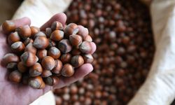 Fiyatı bir ayda 350’den 250 TL'ye çakıldı!