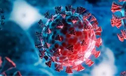 Bakanlıktan "Mutasyonlu Grip" açıklaması