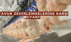 Tavuk zehirlenmelerine karşı uyarı!