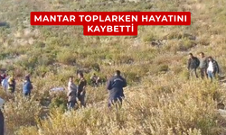 Mantar toplarken hayatını kaybetti