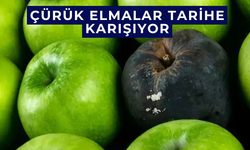 Çürük elmalar tarihe karışıyor, sandığınızdan daha basit