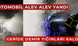 Tarlada yanan otomobilden geriye demir yığını kaldı
