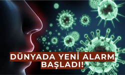 Prof. Dr. Tevfik Özlü uyardı! H3N2 Virüsü ülkemize geliyor