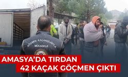 Amasya’da göçmen kaçakçılığına darbe: 42 yakalama