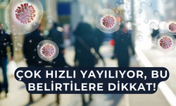 Mutasyonlu grip Türkiye’de de görüldü