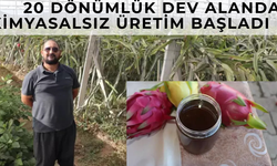 20 Dönümlük Dev Alanda KİMYASALSIZ Üretim Başladı