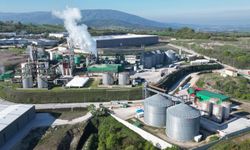 Temiz Havanın Gücü: Biyoetanol