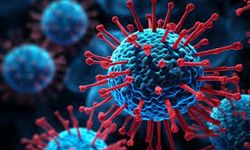 Uzmanından uyarı: "H3N2, ölümle dahi sonuçlanabilen ve mutlaka ciddiye alınması gereken bir hastalıktır"