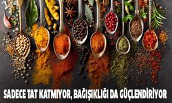 Sadece  tat vermiyor, bağışıklığı da artırıyor