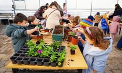 Minik eller doğaya dokundu