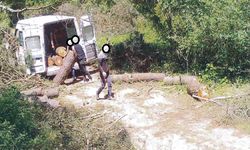 OGM’den kaçak kesimlere karşı 7/24 koruma