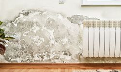 Evdeki nem ve küfe kesin çözüm