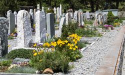 Avustralya'da Müslüman mezarlığına çirkin nefret suçu