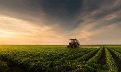 Tarım-ÜFE yıllık yüzde 31,45 arttı