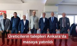 Üreticilerin talepleri Ankara’da masaya yatırıldı