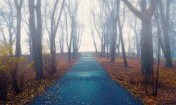 Sisli havalarda "Zehirli Partikül" tehlikesi! 10 bin kişiyi öldüren felaket tekrarlanır mı?