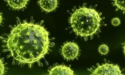 yeni H3N2 grip varyantı uyarısı