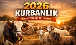 Eskişehir 2026 Kurbanlık Fiyatları: Dana, Koç ve Hisseli Seçenekler