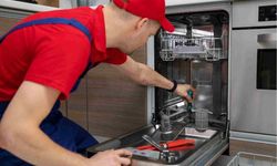 Bulaşık Makinesine Bunu Koyan Sonucu Görünce Şaşırıyor: Servis Masrafını Bitiren Limon Tuzu Yöntemi