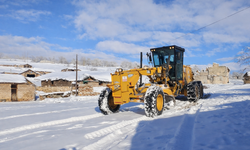 Büyükşehir'den hayat kurtaran mücadele