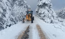 Büyükşehir'den karla mücadelede aralıksız mesai