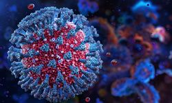 Nipah virüsü DSÖ’den Türkiye için risk açıklaması