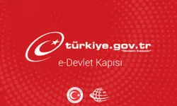 Eskişehirliler e-Devlet’e Akın Etti: Paranızı Unutmuş Olabilirsiniz!