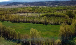 2B arazisi ödeme ve başvuru süresi uzatılıyor!