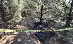 Eskişehir'de kadın cinayeti davası: Zanlı hakim karşısında