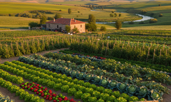 Eskişehir’de hangi sebzeler yetişir?