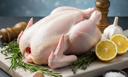 Türkiye'de kümes hayvancılığı üretimi kasım ayında rekor Kkırdı