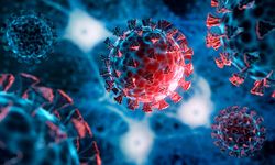 Uzaydaki virüslerin evrimi: Beklenmedik genetik değişimler