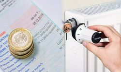 Tüm Türkiye Bu 'Küçük' Detayı Konuşacak! Faturada Devrim Yaratan Petek Arkası Mucizesi: Ayda 500 TL Cebinizde Kalabilir