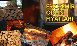 Eskişehir 2026 Odun Fiyatları: Meşe ve Kayın Güncel Liste