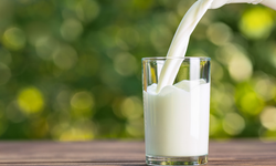 Kandillerde Süt İçmenin Önemi: Manevi ve Sağlık Açısından Bilinmesi Gerekenler