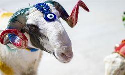 2026 Kurban Bayramı Ne Zaman? Resmî Tarihler, Arefe Günü ve Önemli Bilgiler