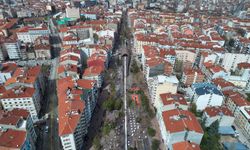 Dikkat! Hamamyolu Caddesi’nde Budama Çalışması Başlıyor: İşte Detaylar!