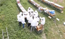 Kendi Balını Üretmek İsteyenler Dikkat: Arıköy 2026 Kayıtları 23 Şubat’ta Başlıyor