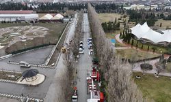 Ekolojik ömrünü tamamlayan kavaklar yerini çınarlara bırakıyor