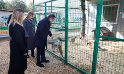 Başkan Ataç Doğal Yaşam Merkezi’nde çalışmaları inceledi