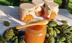 Bir şişede doğal şifa: Kozalak şurubu