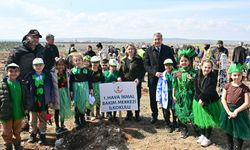 Orman Haftası etkinliklerinde 20 bin fidan toprakla buluştu