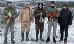 Eskişehir Hayvanat Bahçesi’nde tedavi edilen kuşlar doğaya bırakıldı