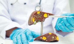 Karaciğer sağlığını tehdit eden 6 önemli etken