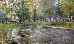 Eskişehir'de Mangal Yapılacak Yerler: İzinli Alanlar ve Kurallar Rehberi