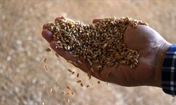 Ayşe Ünlüce'den Tohum Mirası Vurgusu: "Paylaştıkça Çoğalan Bereket" Sürüyor